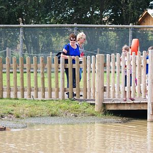 Capybara Wallow at Yorkshire WP, 05/08/12