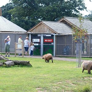 South America Viva at Yorkshire WP, 05/08/12