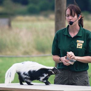 Animal Demonstration at Yorkshire WP, 05/08/12