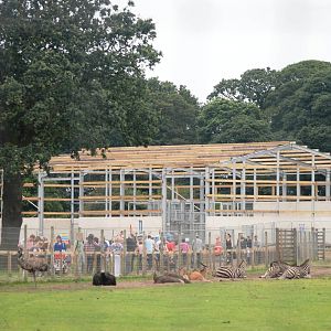 Giraffe House Construction at Yorkshire WP, 05/08/12