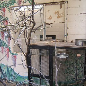 Birmingham Botanical Gardens