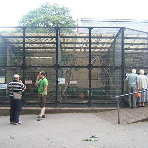 Birmingham Botanical Gardens