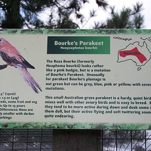 Filey Bird Garden and Animal Park signage 27th July 2012