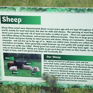 Filey Bird Garden and Animal Park signage 27th July 2012
