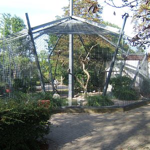 View of Aviary
