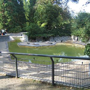 View of Penguin exhibit