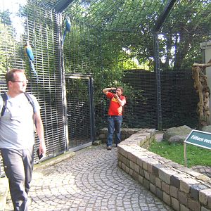View of walk through Macaw Aviary