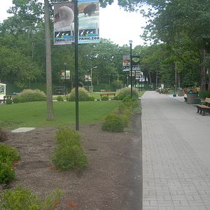 Pathway leading up to zoo entrace