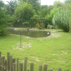 Waterfowl/Muntjac Exhibit