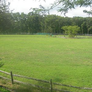 Africa Savanna Exhibit