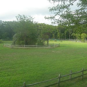 Africa Savanna Exhibit