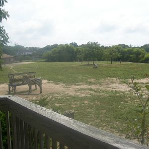 Africa Savanna Exhibit