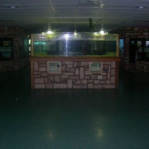 Amphibian and Reptile Building