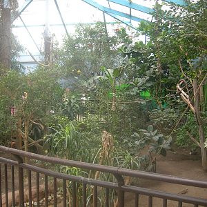 World Of Birds Building