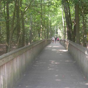 Nature Trail in zoo