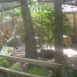Red Fox exhibit