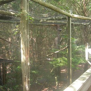 Red Tailed hawk Exhibit