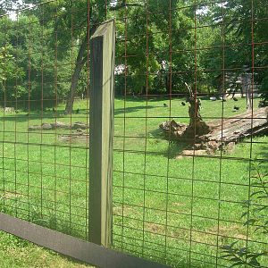 Pronghorn/Sandhill Crane Exhibit