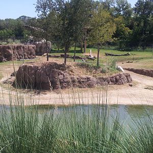 Giants of the Savanna