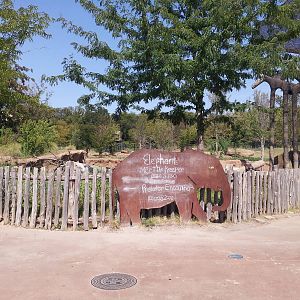 Giants of the Savanna