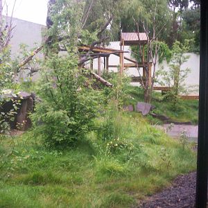 Giant panda enclosure