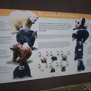 Sign at the sun bear enclosure