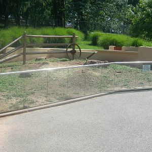 Prairie Dog Exhibit