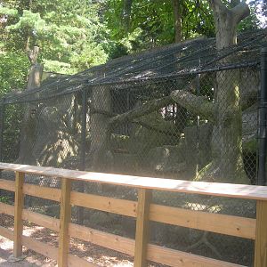 jaguar Exhibit 1
