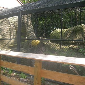Jaguar Exhibit 2