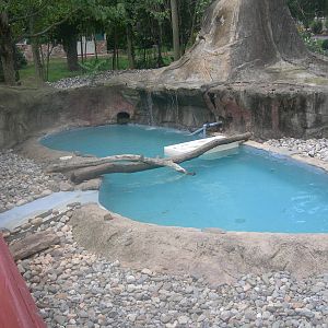 North American River Otter Exhibit