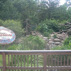 Bald Eagle/Golden Eagle Exhibit
