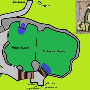 My Map of Cat Canyon