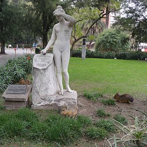 NUDE STATUE AND MARAS BUENOS AIRES ZOO