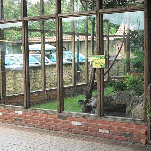 Seriema aviary outside entrance, 3rd August 2012