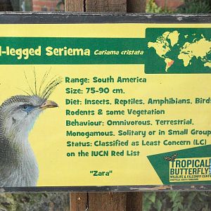 Signage, 3rd August 2012