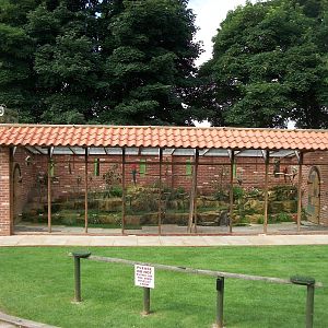 Parrot aviary, 3rd August 2012