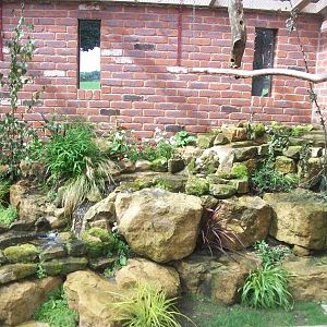 Parrot aviary, 3rd August 2012