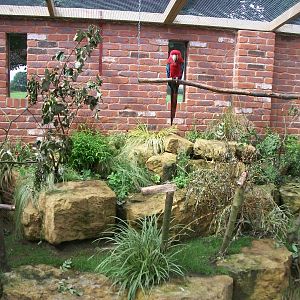 Parrot aviary, 3rd August 2012