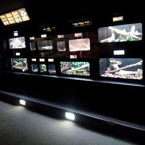 Herpetarium