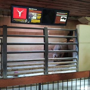 Black Rhinoceros Barn