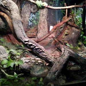 Herpetarium
