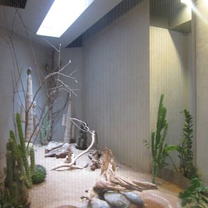 Aug. 2012-Burrowing Owl exhibit