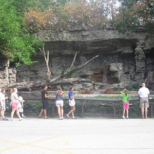 Aug. 2012-Malayan Sun Bear exhibit