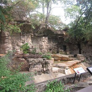Aug. 2012-Sloth Bear exhibit