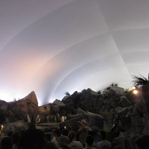 Aug. 2012-Penguin Cove