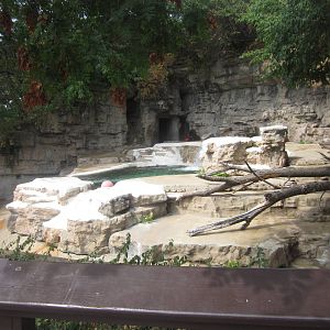 Aug. 2012-Grizzly Bear exhibit