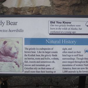 Aug. 2012-Bear Sign