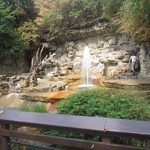 Aug. 2012-Spectacled Bear exhibit