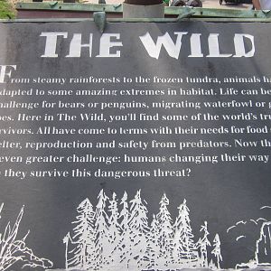 Aug. 2012-The Wild Sign