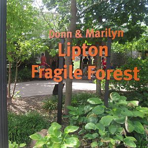 Aug. 2012-Fragile Forest Entrance Sign